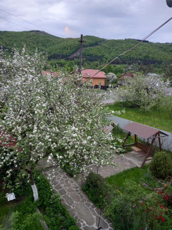 Лаванда Yaremche Ngoại thất bức ảnh